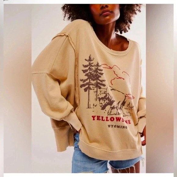 We The Free Sweaters - NWOT Free People We The Free Graphic Camden Pullover in Yellowstone Bison